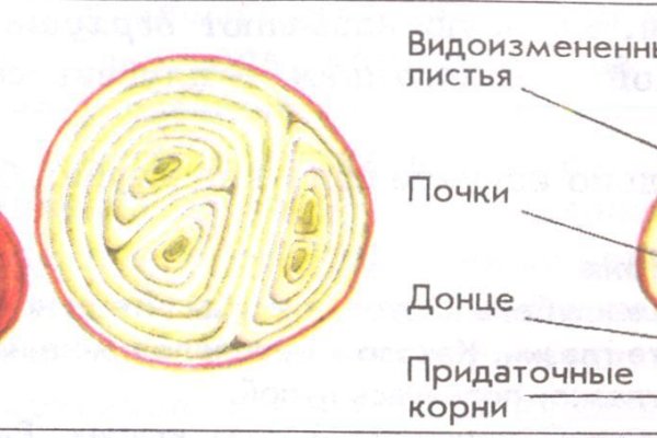 Кракен ссылка москва