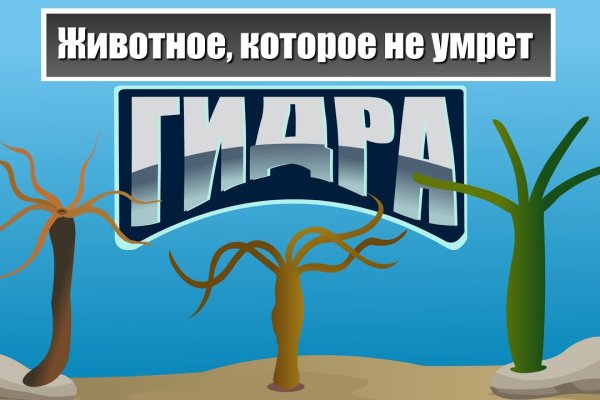 Кракен ссылка trikky