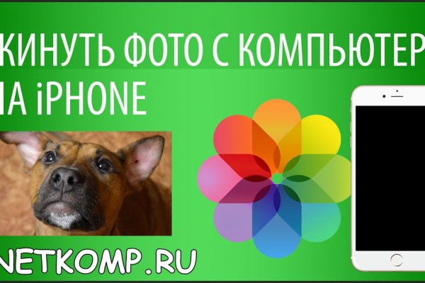 Кракен ссылка прокатис