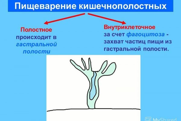 Кракен супернет рабочая ссылка