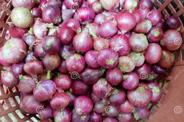 Какая сейчас ссылка на кракен