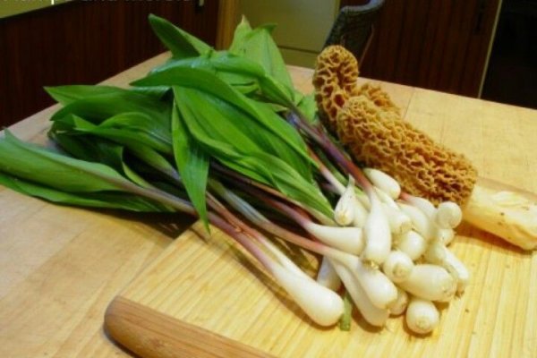 Кракен ссылка в тор