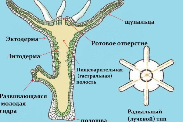 Кракен ссылка 2web