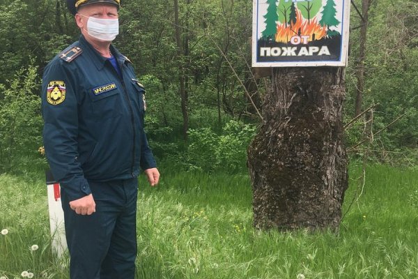 Мега кракен