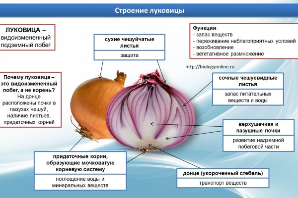 Зеркала сайта кракен tor