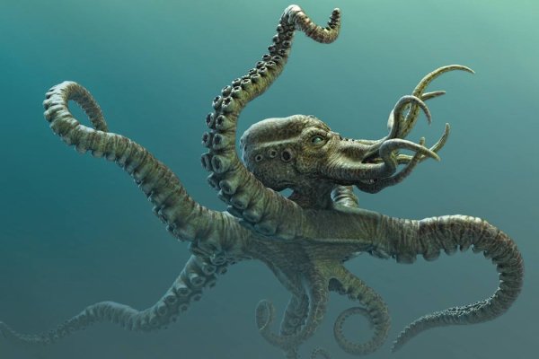 Маркетплейс кракен kraken whitenet top