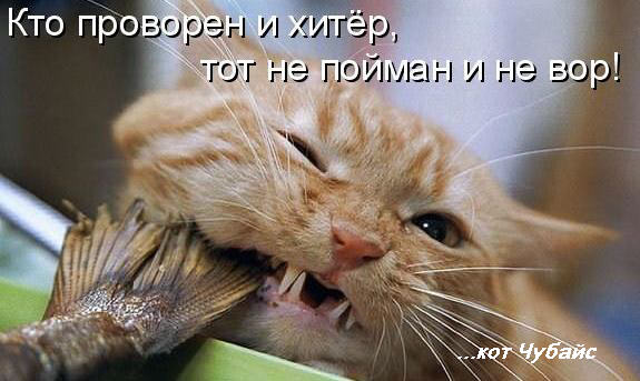 Как найти настоящую кракен супернет ссылку