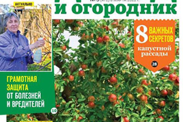 Заказать супернет